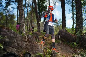 BIB: 
                            <button type="button" onclick="openModal(18947408)" class="btn btn-primary btn-sm float-right btn-popup" data-toggle="modal" data-target=".modal-high-quality">
                        <i class="fas fa-shopping-cart"></i> Add to Cart
                    </button>
                                            <button type="button" onclick="isThisMe(18947408, true)" class="btn btn-success btn-sm float-right btn-popup btn-isme hidden" data-toggle="tooltip" data-placement="bottom" title="นี่คือรูปของคุณใช่ไหม คลิกที่นี่เพื่อเอาเข้าอัลบั้ม">
                        <i class="fas fa-plus"></i> Add to album
                    </button>
                    <button type="button" onclick="isThisMe(18947408, false)" class="btn btn-warning btn-sm float-right btn-popup btn-isnotme hidden">
                        <i class="fas fa-ban"></i> Remove from album
                    </button>